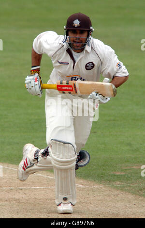 Cricket - Frizzell County Championship - Division One - Surrey / Glamourgan - The Brit Oval. Scott Newman de Surrey en action Banque D'Images