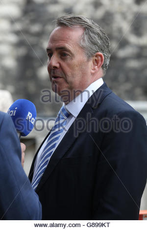 Photo de Liam Fox, candidat à la direction de la conservateurs prises Westminster le jour le Brexit suite a été annoncé. Banque D'Images