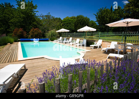 Une piscine au soleil avec de plus en plus lavande Banque D'Images