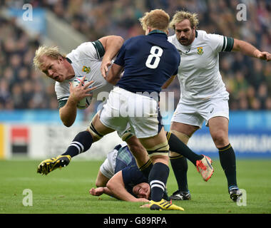 Rugby Union - Rugby World Cup 2015 - Pool B - Afrique du Sud v Ecosse - St James' Park Banque D'Images