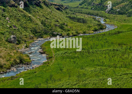 Le Bushmans River dans le château de Géants Kwazulu-natal nature reserve, Afrique du Sud Drakensberg Banque D'Images