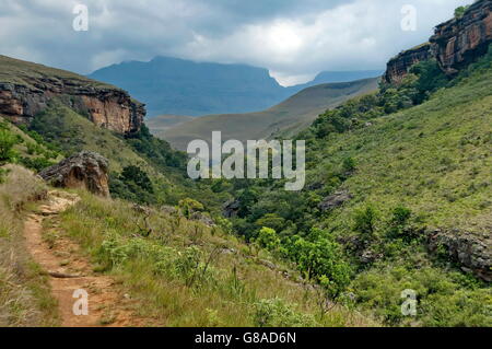 Le Château de géants de la réserve naturelle de KwaZulu-Natal, Afrique du Sud Drakensberg Banque D'Images