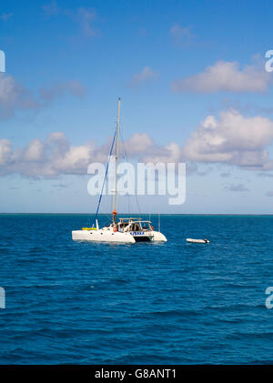 Un catamaran à l'ancre dans le lagon à Lady Musgrave Island, Queensland, Australie Banque D'Images