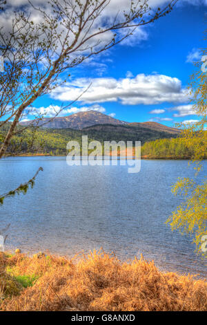 Belle Scottish Loch Garry Ecosse UK lake à l'ouest de Invergarry sur l'A87 au sud de Fort Augustus et au nord de Fort William Banque D'Images