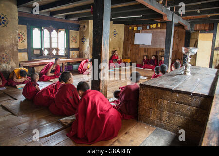 Les moines bouddhistes prier et étudier ensemble wangdue thimphu Bhoutan Asie Banque D'Images