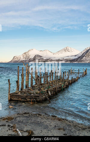 Kattfjord sur l'île de Kvaloya, Norvège Banque D'Images