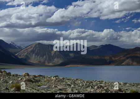 Pangong-Lake, Ladakh, Inde, le Jammu-et-Kaschmir Banque D'Images