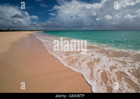 Le fracas des vagues de la plage de sable rose de la mer des Caraïbes Antigua-et-Barbuda Antilles îles sous le vent Banque D'Images