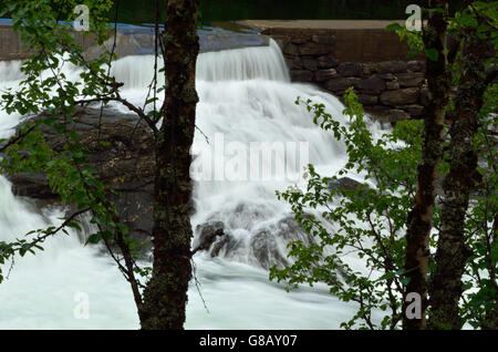 Belle rivière massive et des cascades de débit en été nature Banque D'Images