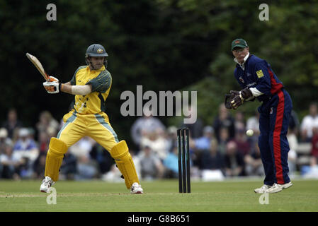 Cricket - L'ACP Masters XI v Australie - Arundel Castle Banque D'Images