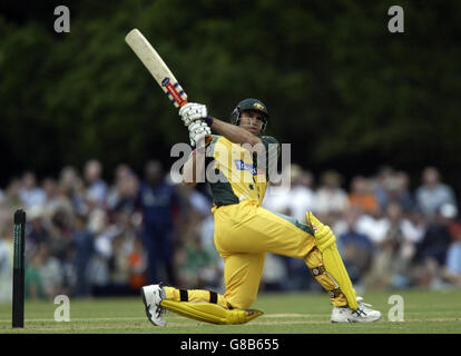 Cricket - L'ACP Masters XI v Australie - Arundel Castle Banque D'Images