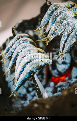 Espetos poisson Préparation. Espetos - Broche avec Sardines à feu ouvert. La cuisine espagnole. Banque D'Images