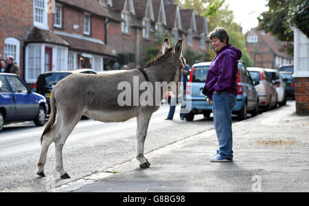 A Donkey fait monter la High Street dans le village de Beaulieu, dans la New Forest, qui a récemment été élu l'un des meilleurs endroits du Royaume-Uni pour vivre Banque D'Images