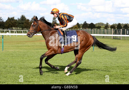 Les courses de chevaux - La Réunion - Jour 1 - Newmarket Racecourse Banque D'Images