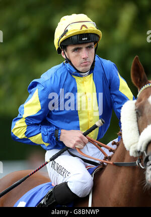 Courses hippiques - Hippodrome de Nottingham. Jockey Martin Harley Banque D'Images