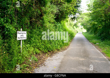 Un passant bay sur un étroit chemin de campagne. Banque D'Images