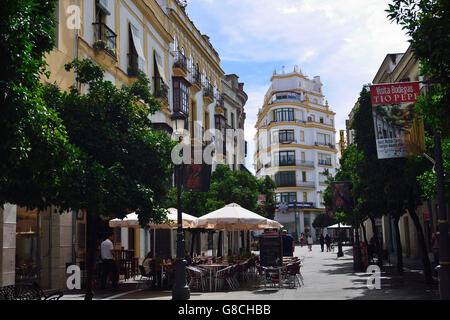 Le bar La Canilla, Calle Larga, Jerez de la Frontera, Andalousie, Espagne Banque D'Images