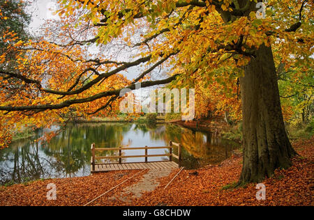 UK, Derbyshire, Peak District, Lumsdale, Bentley Brook Pond & Jetty Banque D'Images