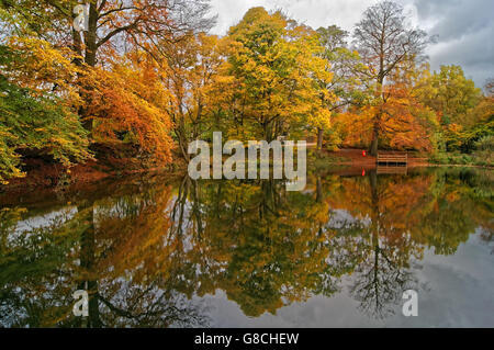 UK, Derbyshire, Peak District, Lumsdale, Bentley Brook Pond Banque D'Images