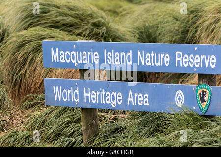 La réserve naturelle de l'île Macquarie, signe l'île Macquarie, sub-antarctiques Australiennes Banque D'Images