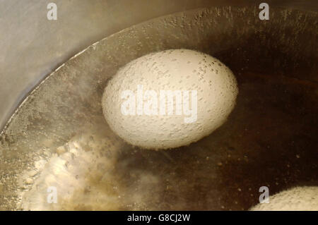 Les oeufs de poule dans l'eau bouillante dans une casserole en métal Banque D'Images