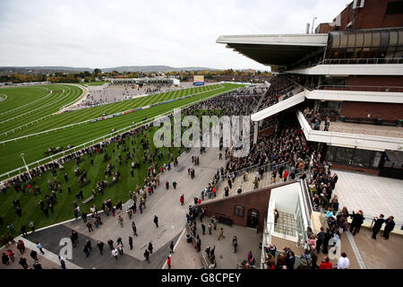 Courses hippiques - The Showcase - Premier jour - Hippodrome de Cheltenham.Une vue générale sur le parcours depuis le balcon de la tribune de la princesse royale tandis que les coureurs et les coureurs regardent les coureurs Banque D'Images