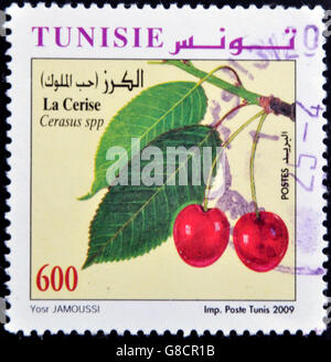 Tunisie - circa 2009 : timbre imprimé en Tunisie montre cerises, circa 2009 Banque D'Images