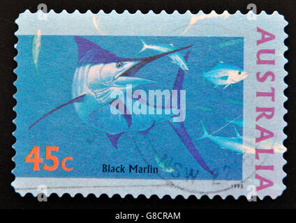 L'AUSTRALIE - circa 1995 : timbres en Australie montre Marlin noir, circa 1995 Banque D'Images