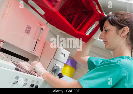 Infirmière à l'aide de l'équipement de diagnostic vétérinaire. L'Angleterre. UK Banque D'Images