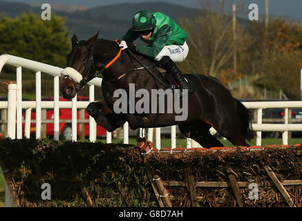 Missy TATA, monté par Bryan Cooper, remporte l'épreuve de course Value Cabs 3-Y-O au cours de la deuxième journée du Festival of Racing 2015 d'Irlande du Nord à l'hippodrome Down Royal, Lisburn, County Down. Banque D'Images