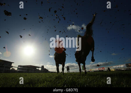 Une vue générale des pouvoirs Irish Whiskey Steeplechase pendant la deuxième journée du Festival de course d'Irlande du Nord 2015 à l'hippodrome de Down Royal, Lisburn, County Down. Banque D'Images