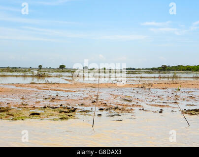 Paysages inondés à la rivière Tonle Sap au Cambodge Banque D'Images