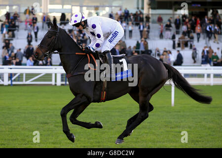 Courses hippiques - Halloween Raceday - Hippodrome d'Ascot.Royal Regatta, monté par Tom O'Brien dans le Byrne Group handicap Chase pendant le Halloween Raceday à l'hippodrome d'Ascot, Berkshire. Banque D'Images