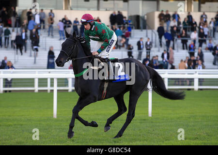 Courses hippiques - Halloween Raceday - Hippodrome d'Ascot.Sgt Sprust, monté par Gavin Sheehan dans le Byrne Group handicap Chase pendant le Halloween Raceday à l'hippodrome d'Ascot, Berkshire. Banque D'Images