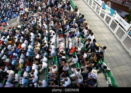 Cricket - Twenty20 - Asie XI / International XI - The Brit Oval. Les fans apprécient l'action au Brit Oval Banque D'Images