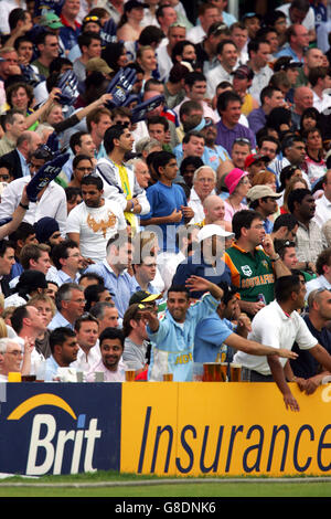 Cricket - Twenty20 - Asie XI / International XI - The Brit Oval. Les fans apprécient l'action au Brit Oval Banque D'Images