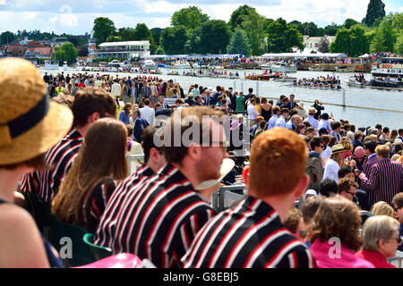 Henley on Thames, Royaume-Uni. 2 juillet, 2016. La foule encourager leurs équipes qu'ils s'approchent de la ligne d'arrivée en face de l'enceinte Stewards lors de la 2e demi-finale de la journée dans la coupe Grand Challenge avec les résultats finaux - Hollandia battre New York AC et RC de la Californie . Crédit : Gary Blake/Alamy Live News Banque D'Images