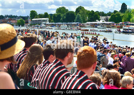 Henley on Thames, Royaume-Uni. 2 juillet, 2016. La foule encourager leurs équipes qu'ils s'approchent de la ligne d'arrivée en face de l'enceinte Stewards lors de la 2e demi-finale de la journée dans la coupe Grand Challenge avec les résultats finaux - Hollandia battre New York AC et RC de la Californie . Crédit : Gary Blake/Alamy Live News Banque D'Images