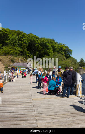 Les passagers se regroupent sur Ullswater Steamers Pooley Bridge pier, Cumbria, prêt pour le 13:55 La voile à Hitchin. Banque D'Images