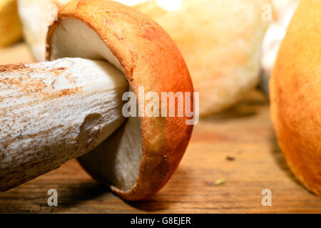 Champignons sauvages sur la table avec une faible profondeur de champ. Banque D'Images