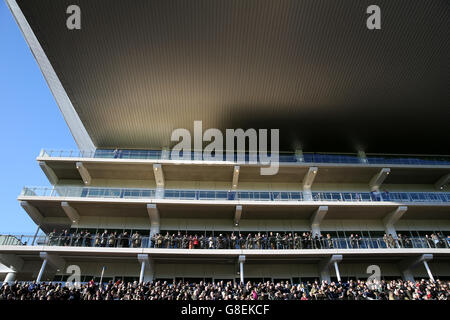 Une vue générale de la tribune de la princesse Royale à l'hippodrome de Cheltenham. Banque D'Images