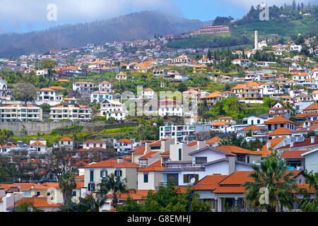 Maisons sur les montagnes de Funchal, Madère Banque D'Images