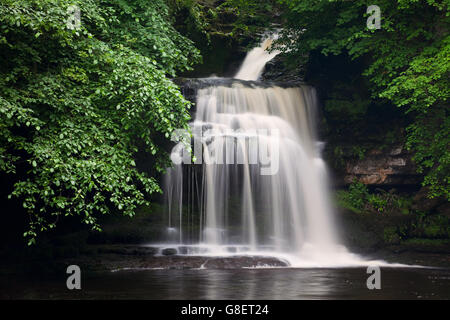Chaudron Falls près de West Burton dans Wensleydale, Yorkshire, UK Banque D'Images