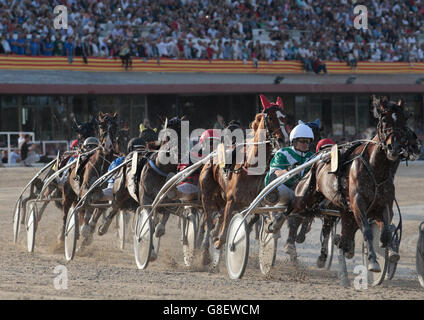 Riders en compétition lors d'une course de chars du faisceau du cheval dans l'hippodrome de Palma de Majorque. Banque D'Images
