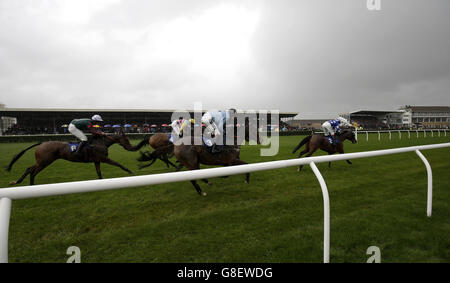 Les courses de chevaux - Badger Ales 24 - Hippodrome de Wincanton Banque D'Images