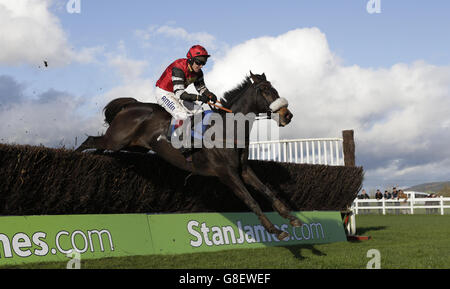 Les courses de chevaux - Badger Ales 24 - Hippodrome de Wincanton Banque D'Images