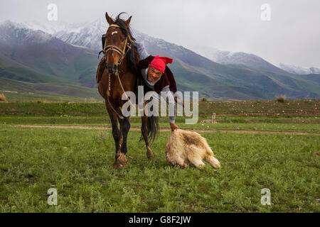 Cavalier nomade s'empare de la carcasse de chèvre lors du traditionnel jeux cheval de Ulak Tartysh. Banque D'Images