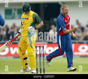 Andrew Flintock, en Angleterre, célèbre le cricket de Matthew Hayden, en Australie Banque D'Images