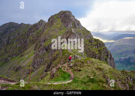 À l'extrémité ouest de randonneur Aonach Eagach ridge avec vue de coraux en soirée. Glencoe, Highland, Scotland, UK, Grande-Bretagne Banque D'Images