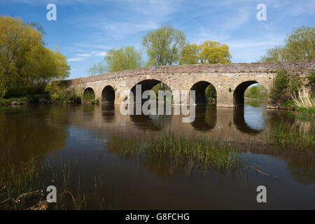 Le bâtiment médiéval Pershore arquée pont enjambant la rivière Avon près de Pershore à la fin du printemps dans le Worcestershire, Angleterre Banque D'Images